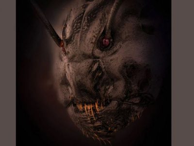 প্রাণী