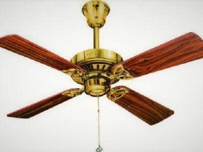 fan